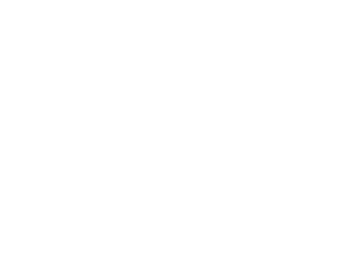 LOGO TVS BLANCO WEB
